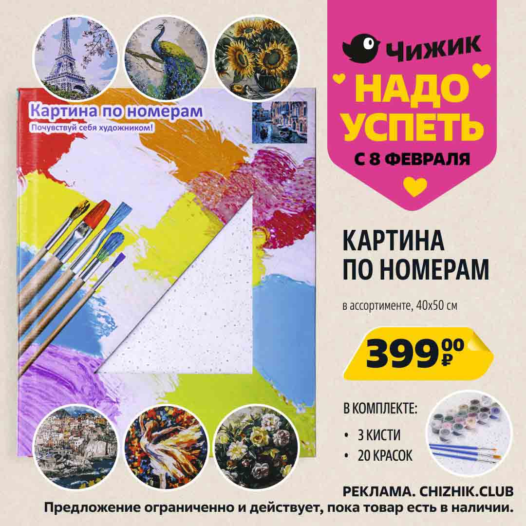 картина по номерам, в ассортименте (комплект 3 кисти и 20 красок) за 399 руб.